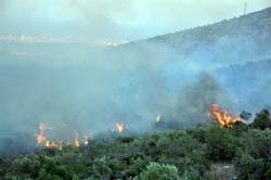 Tarsus'ta Orman Yangını