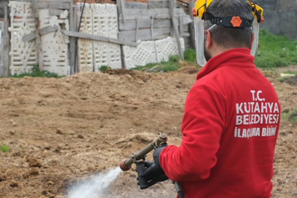 K&uuml;tahya'da ila&ccedil;lama &ccedil;alışmaları s&uuml;r&uuml;yor