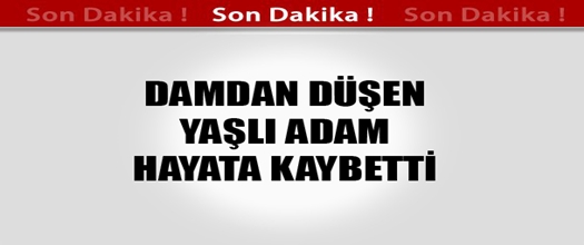 Damdan D&uuml;şen Yaşlı Adam &Ouml;ld&uuml;