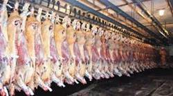 Kırmızı Et &Uuml;reticileri Birliği Kurulması İ&ccedil;in &Ccedil;alışma Başlatıldı