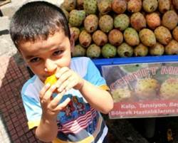 Dikenli İncir Tarsus&rsquo;ta tezgahtaki yerini aldı