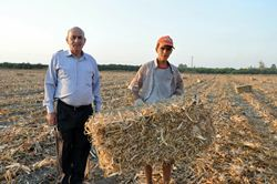 Tarsus'ta &Ccedil;ift&ccedil;inin Yeni Ge&ccedil;im Kaynağı