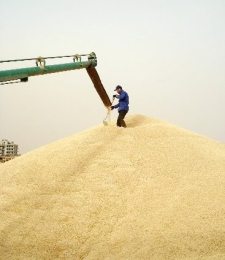 Borsa, Yeni Pazar Yerinin İnşaat İhalesini Yaptı