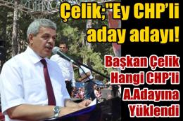 Başkan Çelik'ten CHP'li Aday Adayına Eleştiri