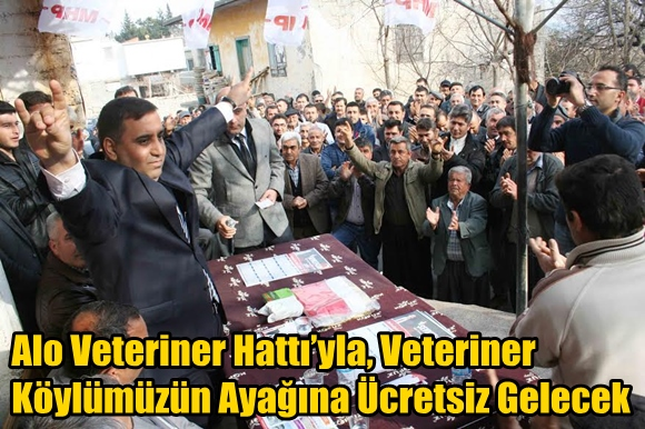 Alo Veteriner Hattı&rsquo;yla, Veteriner K&ouml;yl&uuml;m&uuml;z&uuml;n Ayağına &Uuml;cretsiz Gelecek