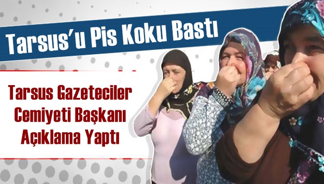 Tarsus'taki Kokunun Sebebi