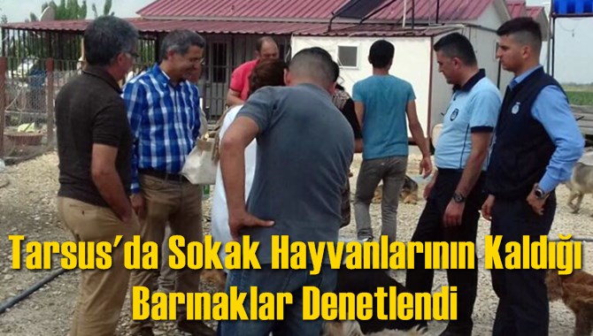 Tarsus'da Sokak Hayvanlarının Kaldığı Barınaklar Denetlendi