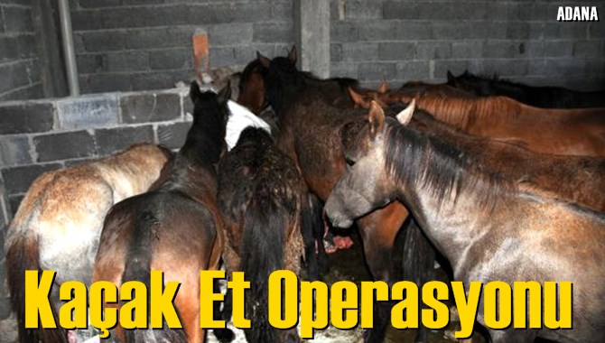 Ka&ccedil;ak Et Operasyonu