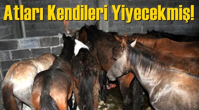 At Kasapları Tutuklandı