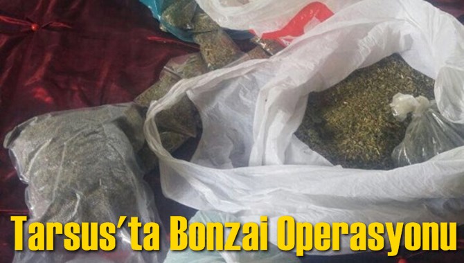 Tarsus'ta Bonzai Operasyonu
