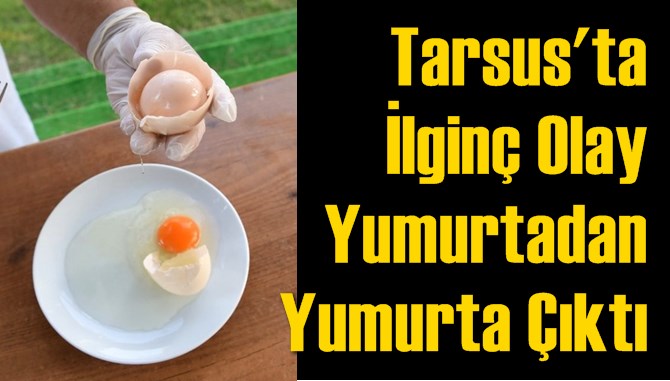 Tarsus'ta Yumurtadan Yumurta &Ccedil;ıktı