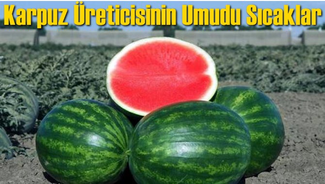 Karpuz &Uuml;reticisinin Umudu Sıcaklar