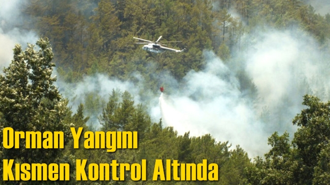 Orman Yangını Kısmen Kontrol Altında