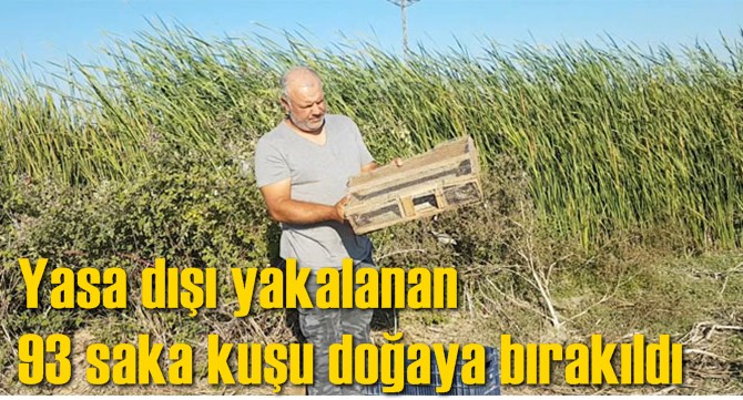 Yasa dışı yakalanan 93 saka kuşu doğaya bırakıldı
