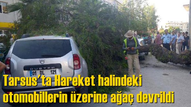 Hareket halindeki otomobillerin &uuml;zerine ağa&ccedil; devrildi