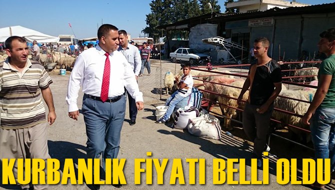 Kurbanlık Fiyatları Belli Oldu