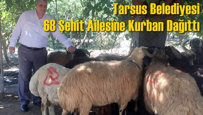 Tarsus Belediyesi 68 Şehit Ailesine Kurban Dağıttı 