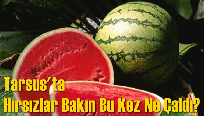 Tarsus'ta  Yine İlgin&ccedil; Bir Hırsızlık