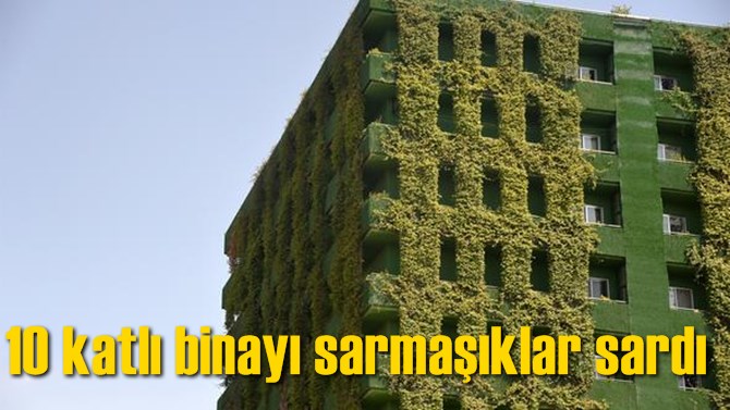10 katlı binayı sarmaşıklar sardı