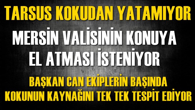 Tarsus Kokudan Yatamıyor