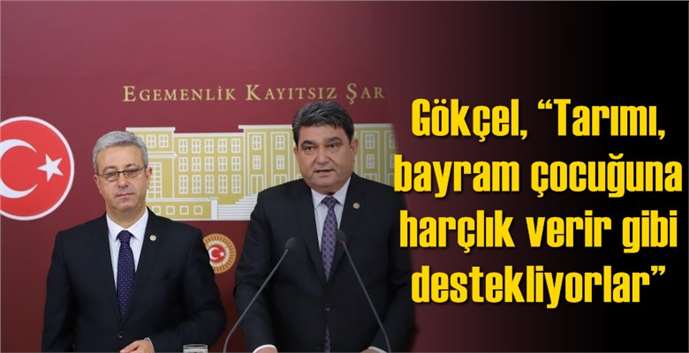 G&ouml;k&ccedil;el, &ldquo;Tarımı, bayram &ccedil;ocuğuna har&ccedil;lık verir gibi destekliyorlar&rdquo;