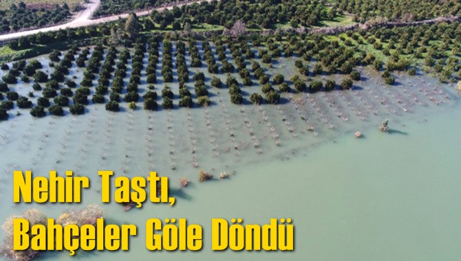 Nehir Taştı, Bah&ccedil;eler G&ouml;le D&ouml;nd&uuml;