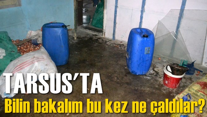 Tarsus'ta Bu Kez Zeytinyağı &Ccedil;aldılar