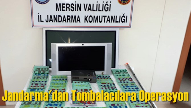 Jandarma'dan Tombalacılara Operasyon