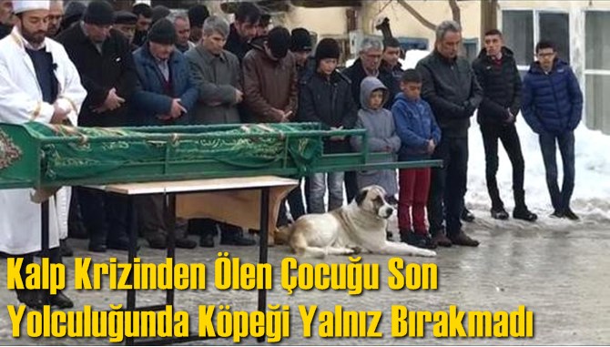 Kalp Krizinden &Ouml;len &Ccedil;ocuğu Son Yolculuğunda K&ouml;peği Yalnız Bırakmadı