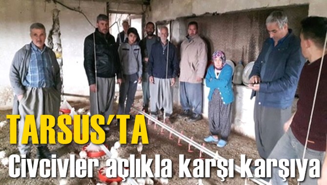 Tarsus'ta civcivler a&ccedil;lıkla karşı karşıya