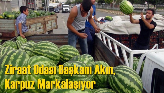 Ziraat Odası Başkanı Akın, Karpuz Markalaşıyor