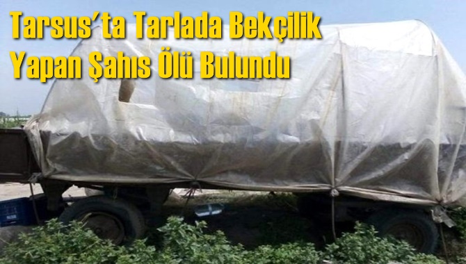 Tarsus'ta Tarlada Bek&ccedil;ilik Yapan Şahıs &Ouml;l&uuml; Bulundu