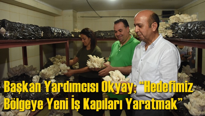 Tarsus Belediye Başkan Yardımcısı Okyay; &ldquo;Hedefimiz B&ouml;lgeye Yeni İş Kapıları Yaratmak&rdquo;