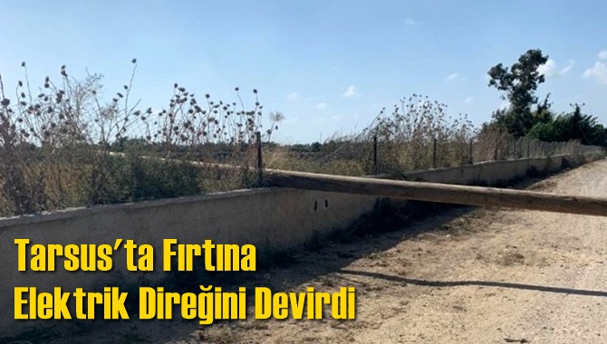 Tarsus'ta Fırtına Elektrik Direğini Devirdi
