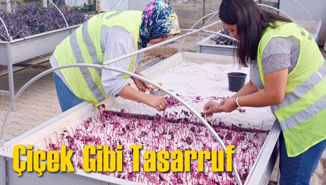 Çiçek Gibi Tasarruf