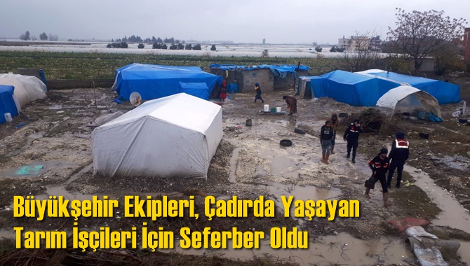 Büyükşehir Ekipleri, Çadırda Yaşayan Tarım İşçileri İçin Seferber Oldu