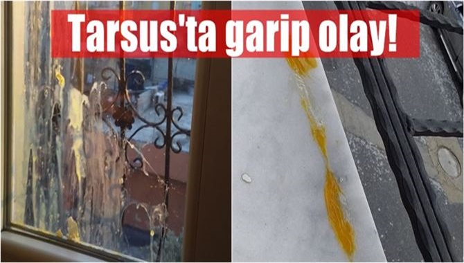 Tarsus’ta evlerin kapı ve pencerelerine yumurta atılıyor