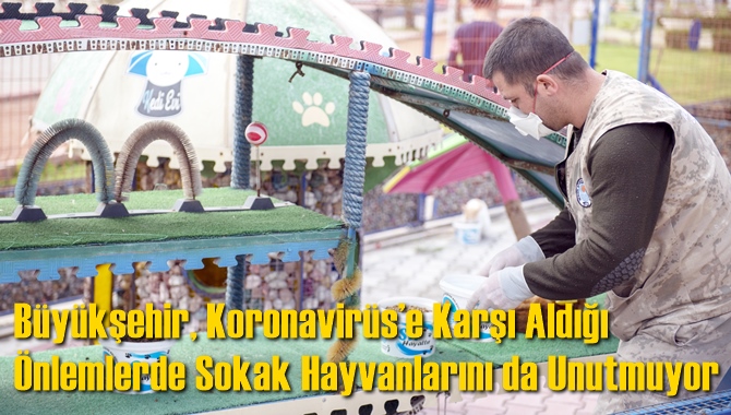 B&uuml;y&uuml;kşehir, Koronavir&uuml;s&rsquo;e Karşı Aldığı &Ouml;nlemlerde Sokak Hayvanlarını da Unutmuyor