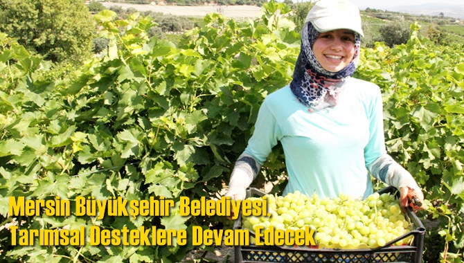 Mersin Büyükşehir Belediyesi, Tarımsal Desteklere Devam Edecek