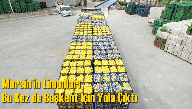 Mersin’in Limonları Bu Kez de Başkent İçin Yola Çıktı