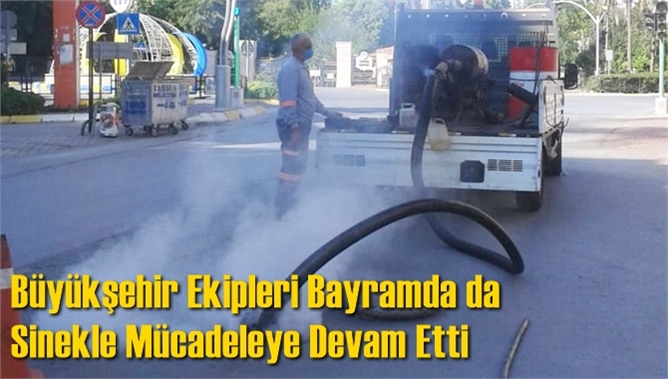 B&uuml;y&uuml;kşehir Ekipleri Bayramda da Sinekle M&uuml;cadeleye Devam Etti