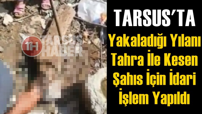 Tarsus'ta Yakaladığı Yılanı Tahra İle Kesen Şahıs İ&ccedil;in Tutanak Tutuldu