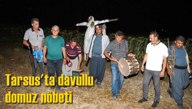 Tarsus'ta davullu domuz n&ouml;beti