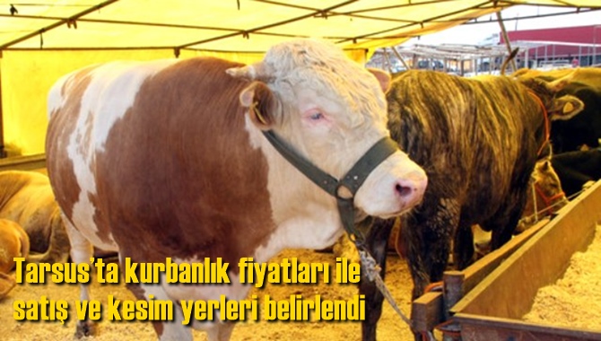 Tarsus&rsquo;ta kurbanlık fiyatları ile satış ve kesim yerleri belirlendi