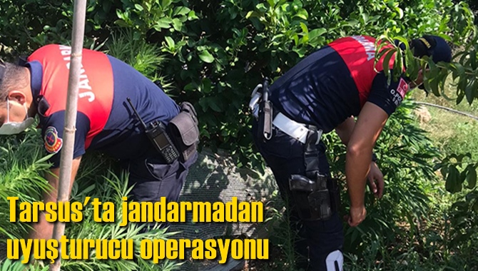 Tarsus'ta jandarmadan uyuşturucu operasyonu
