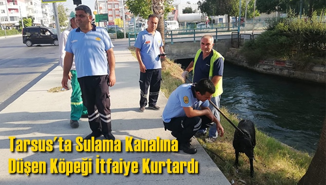 Tarsus'ta Sulama Kanalına D&uuml;şen K&ouml;peği İtfaiye Kurtardı