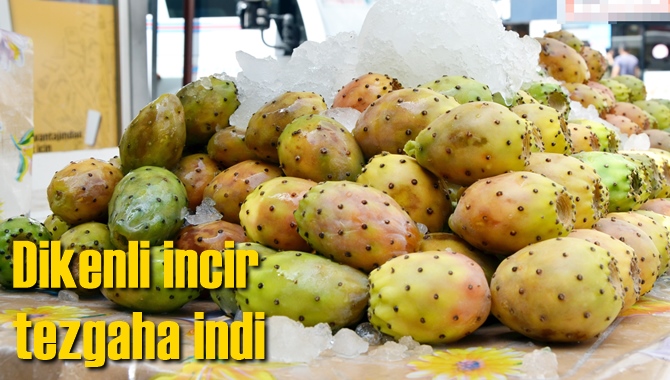 Dikenli incir tezgaha indi
