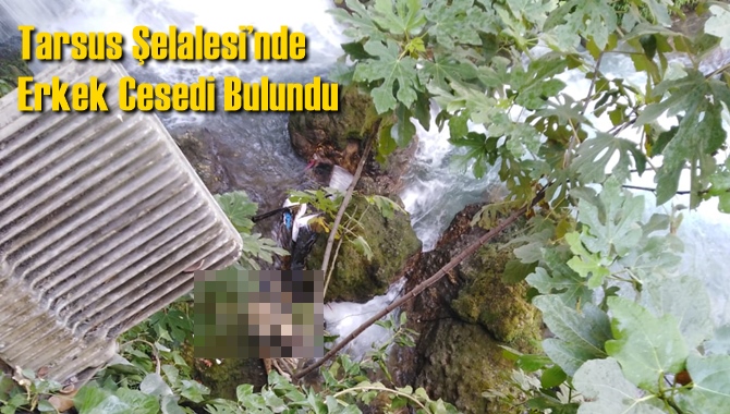 Tarsus Şelalesi&rsquo;nde Erkek Cesedi Bulundu