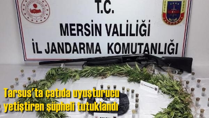 Tarsus'ta &ccedil;atıda uyuşturucu yetiştiren ş&uuml;pheli tutuklandı