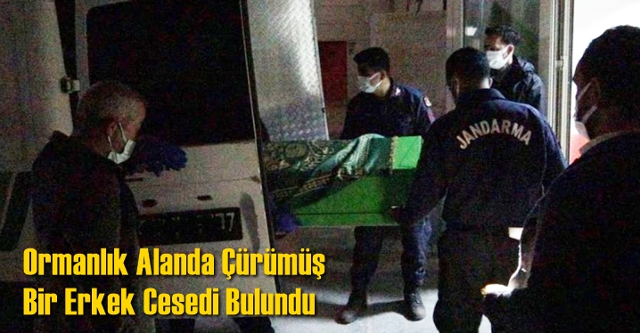 Ormanlık Alanda Erkek Cesedi Bulundu